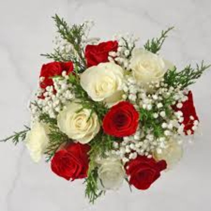 Red & White Roses, 12 Stems WRAPPED