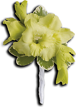 Grand Gladiolus Boutonniere