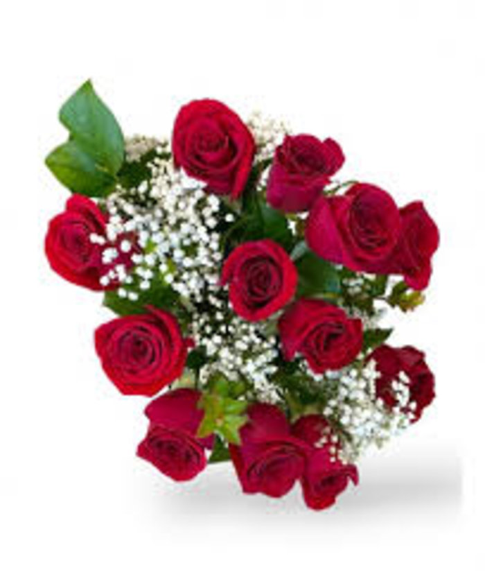 Red,White,Orange,Pink,Purple, Yellow Roses, 12 Stems WRAPPED