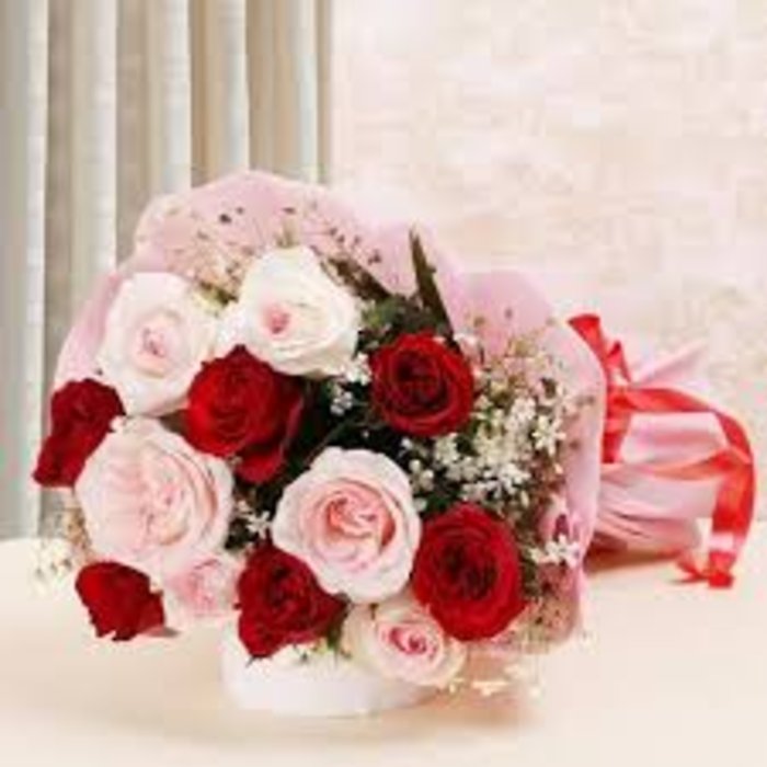 Red & Pink Roses, 12 Stems WRAPPED
