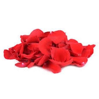 Rose Petals